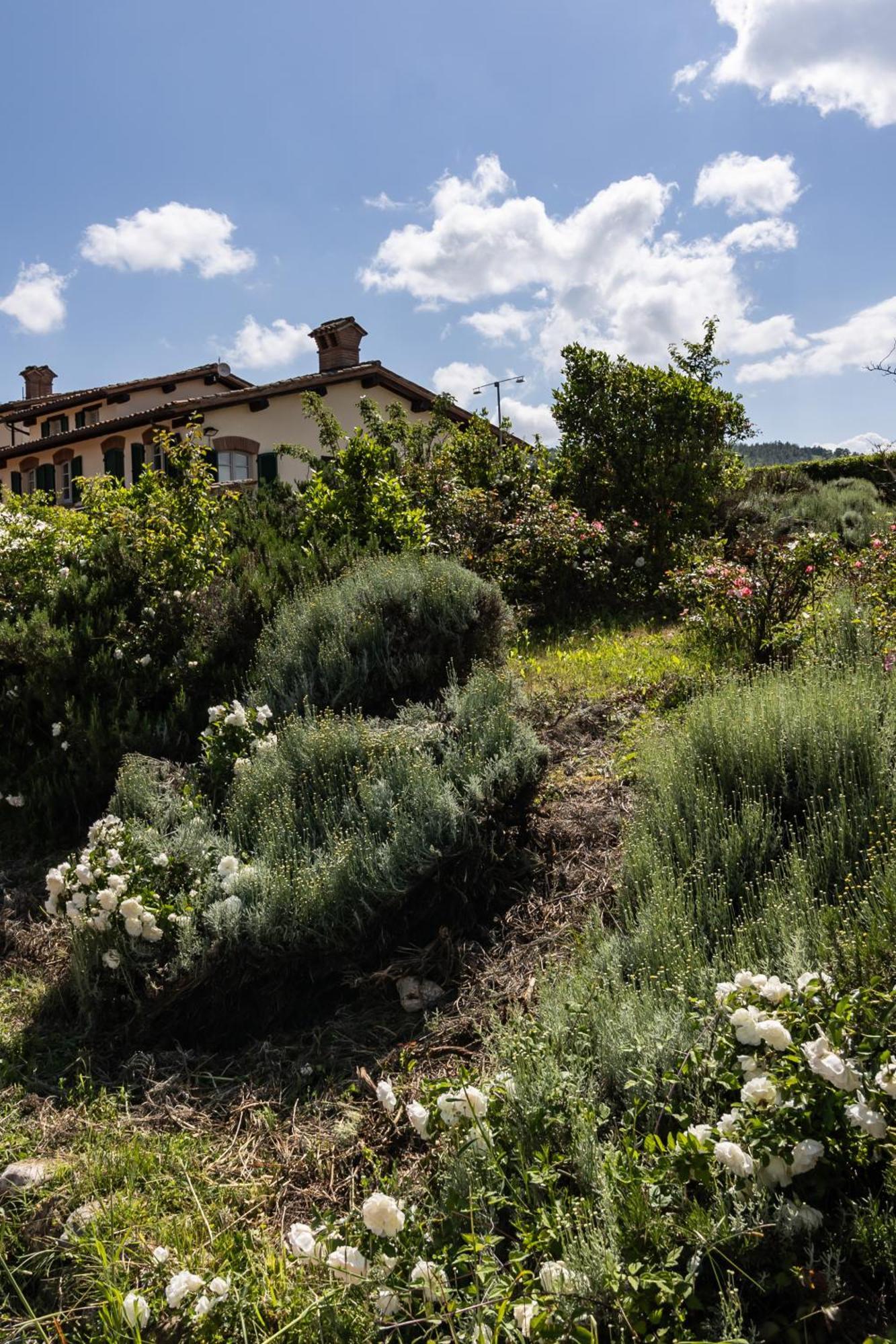 Tenuta Borgo San Michele Gubbio Exterior foto